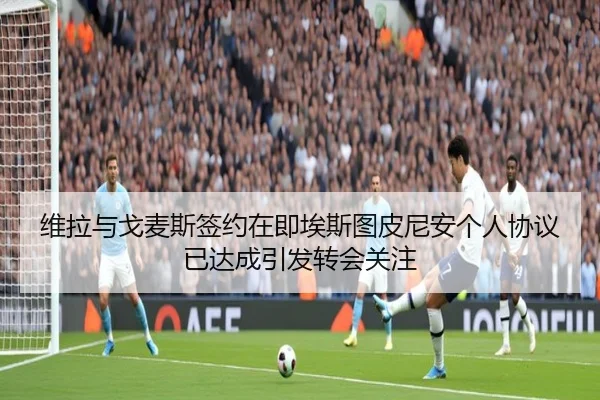 维拉与戈麦斯签约在即埃斯图皮尼安个人协议已达成引发转会关注